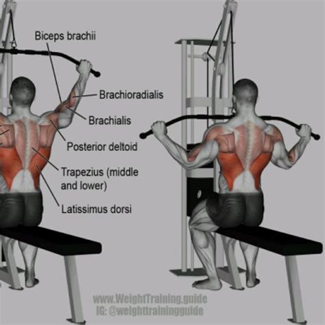 Plate Loaded Lat Pulldown by John M. - Exercise How-to - Skimble