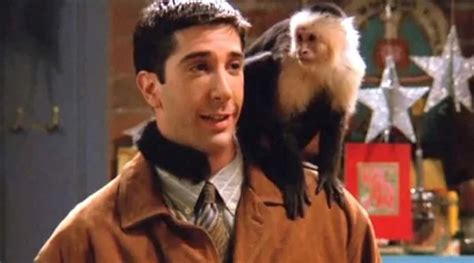 Friends’ monkey trainer calls David Schwimmer ‘despicable’, says he was ...