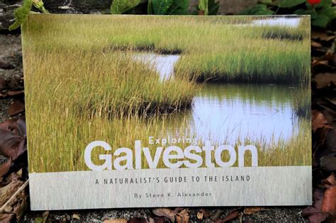 Become a Member - Galveston Island Nature Tourism Council