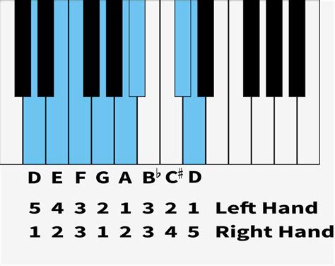 D Harmonic Minor Scale Fingerings | Digital Piano Review Guide