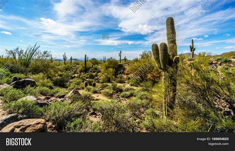 Semi Desert Landscape Image & Photo (Free Trial) | Bigstock