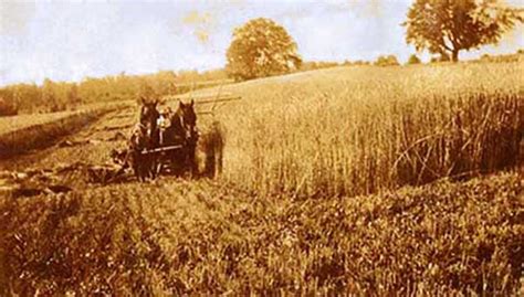 SHELBY, OHIO GENEALOGY - Farming & Farming History