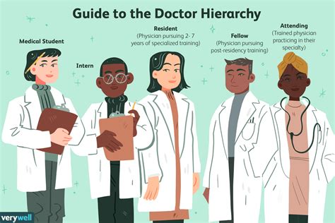 types of doctors for females - Leila Byrne