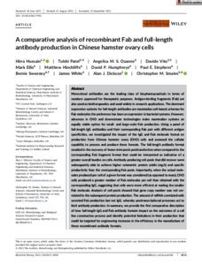 A comparative analysis of recombinant Fab and full‐length antibody ...