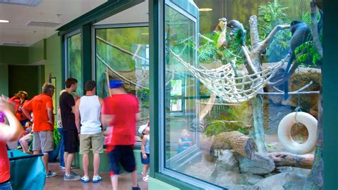 Kansas City Zoo Pictures: View Photos & Images of Kansas City Zoo