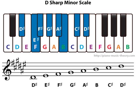 Versare sarò forte Orale d sharp major scale chiaro flotta Fruttuoso