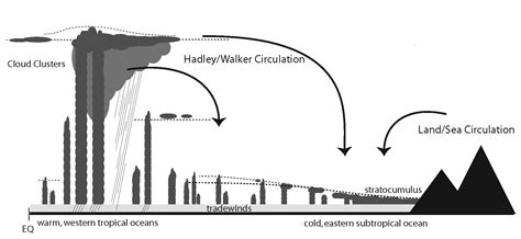 Clouds and Convection – Geophysical Fluid Dynamics Laboratory