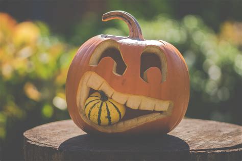 Free Images : pumpkin, calabaza, halloween, cucurbita, jack o lantern ...