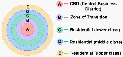 Burgess" 1923 Concentric Zone Theory Urban Land Use Model. Source ...