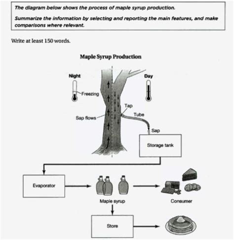 Band 7: The diagram below shows the process of maple syrup production ...