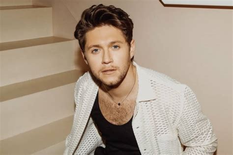 Niall Horan Drops New Song "Meltdown" Ahead Of Forthcoming New Album ...