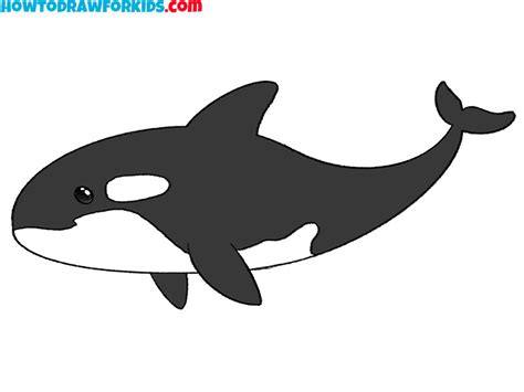 How to Draw a Killer Whale - Easy Drawing Tutorial For Kids