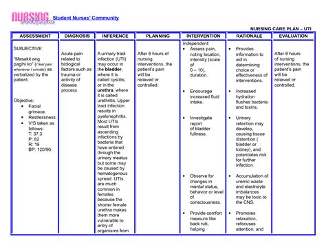 Geriatric Nursing Care Plan Examples