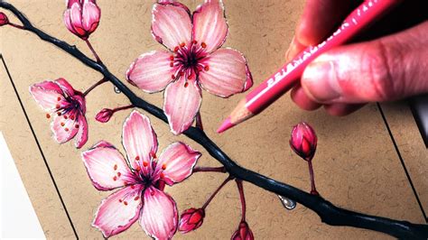 How To Draw A Realistic Cherry Blossom Tree