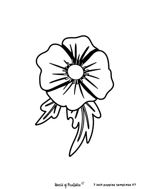 Poppy Flower Outline Drawing - Home Alqu