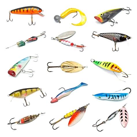 The Ultimate Guide to Choosing the Best Bait for Trout Fishing ...