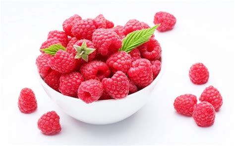 Growing Raspberry Plants: All You Need to Know for a Thriving Harvest