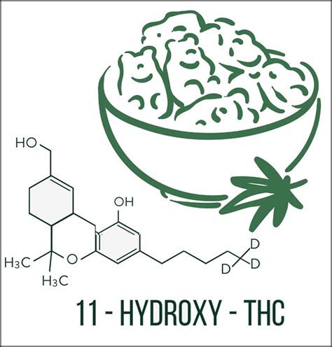 11-Hydroxy-THC - Tetrahydrocannabinol