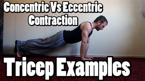 Concentric Workout Definition