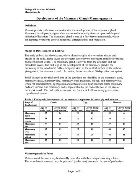 Development of the Mammary Gland (Mammogenesis)