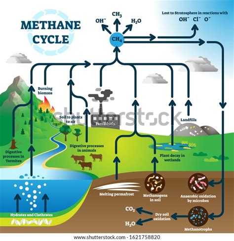 Microbes Global Warming: Over 39 Royalty-Free Licensable Stock Vectors ...