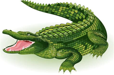 Crocodile stock illustration. Illustration of life, drawing - 5265442