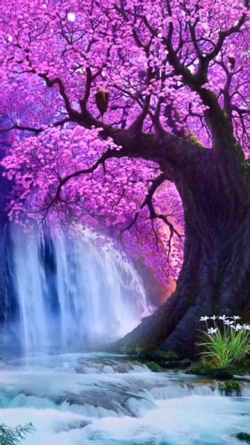 3d Animated Wallpapers Of Nature