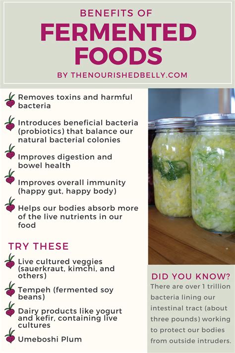 Show Some Love to Your Gut Bacteria with Fermented Foods — The ...