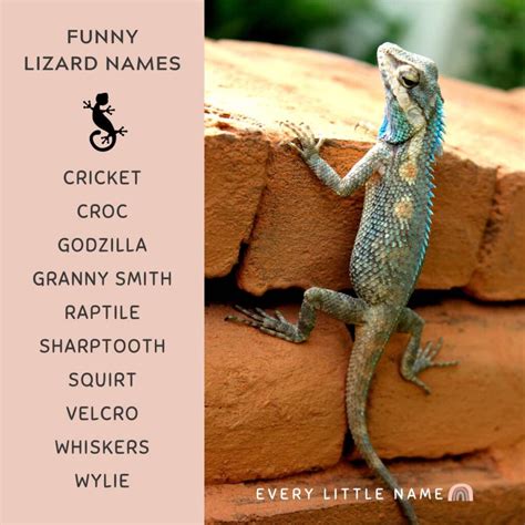 300+ Best Lizard Names (Cute, Funny, and Cool) - Every Little Name