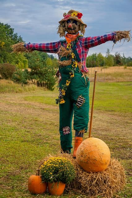 Otoño Calabaza Espantapájaros - Foto gratis en Pixabay - Pixabay