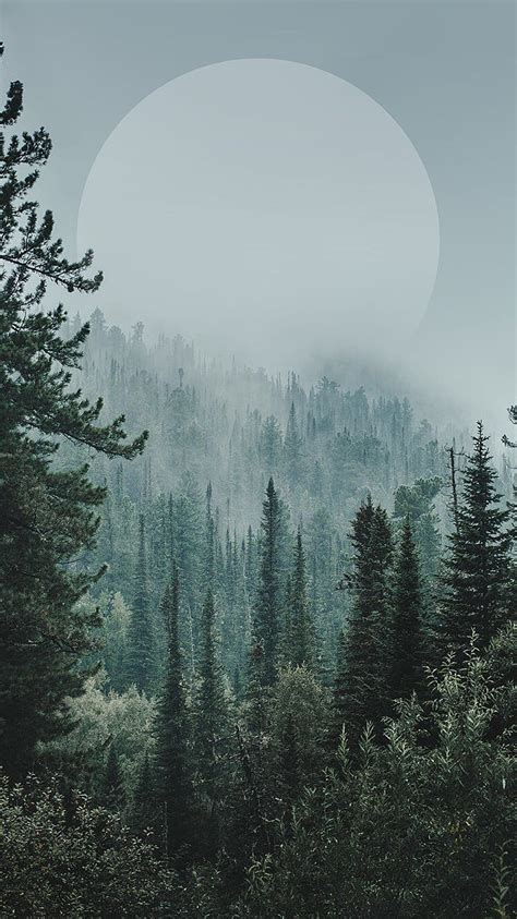 Top more than 85 forest aesthetic wallpaper latest - in.coedo.com.vn