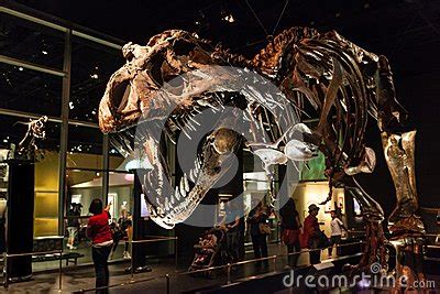 Dinosaur Exhibits At Royal Tyrrell Museum In Drumheller, Canada ...