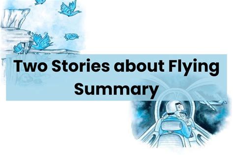 Two Stories about Flying Summary Class 10 English Exam CBSE