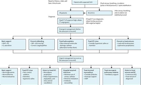 Spontaneous subarachnoid haemorrhage - The Lancet