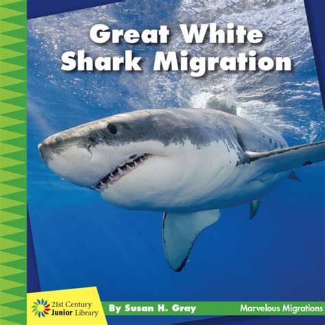 Great White Shark Migration by Susan H. Gray | eBook (NOOK Kids ...