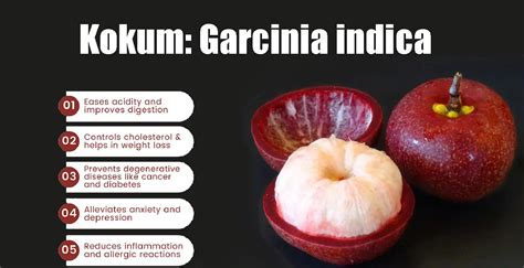 Kokum: Garcinia indica: Kokam Benefits, Uses &More!