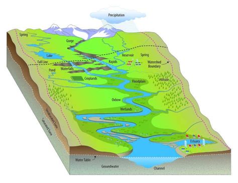 Explore Your Watershed Interactive Map - San Diego Coastkeeper