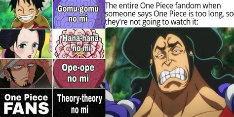 One Piece: 9 Memes That Sum Up The Anime