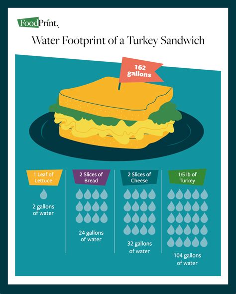 The Water Footprint of Food - FoodPrint