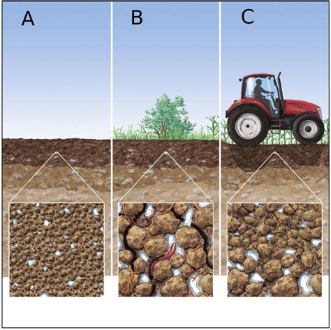 The Geophysical Signatures of Soil Structure - Eos