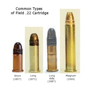 Pin on guns,ammo,and shooting