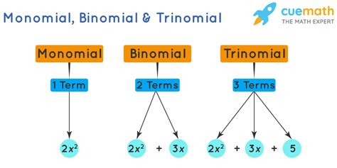 Monomial - Meaning, Definition and Examples of Monomials