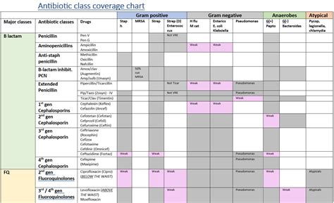 Antibiotic Coverage Chart - Etsy