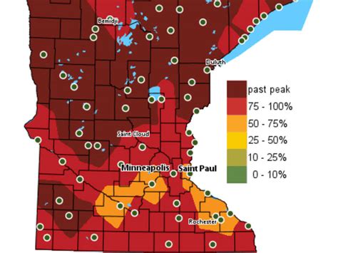 Minnesota Fall Foliage 2017: Peak Dates, Best Time To See Leaves Change ...