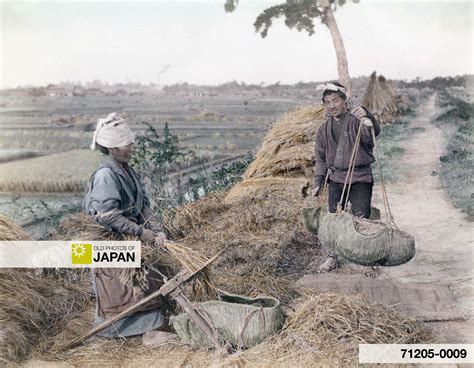 1890s • Threshing Rice | OLD PHOTOS of JAPAN