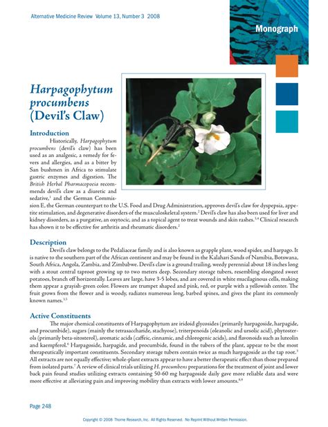 Harpagophytum procumbens (Devil’s Claw) Homeopathic Remedies and Benefits