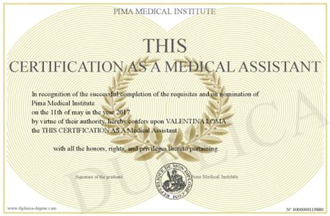 How to Become a Medical Assistant: Job Description, Salary & Training