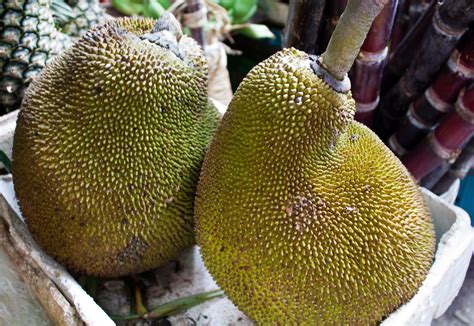 How to Prepare a Jackfruit