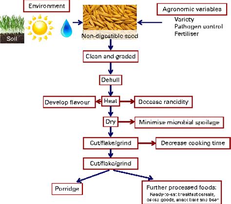 Oat Milling Process