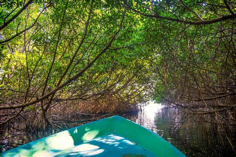 Bentota river safari in Sri Lanka | Atlas & Boots